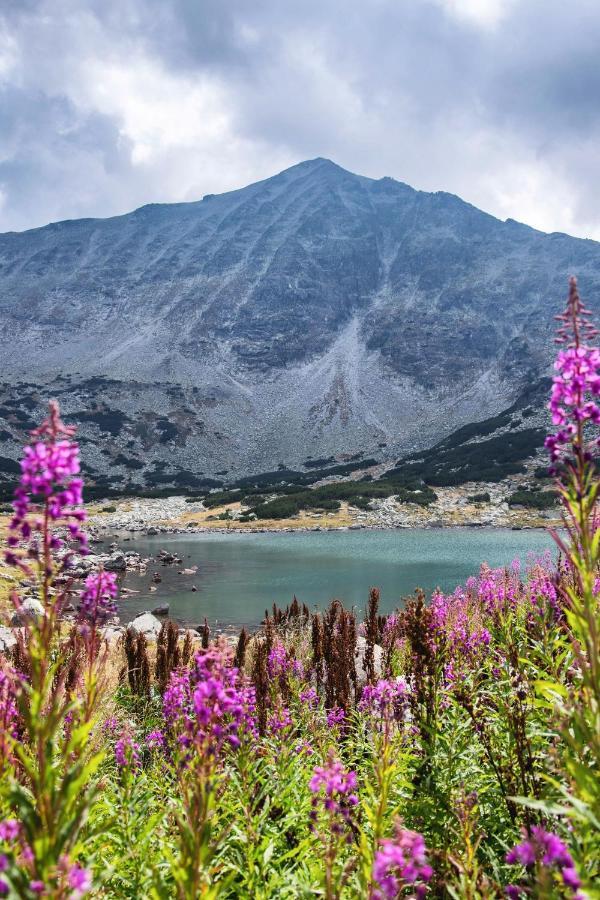 Borovets Gardens B30 Morunov Apart Luaran gambar